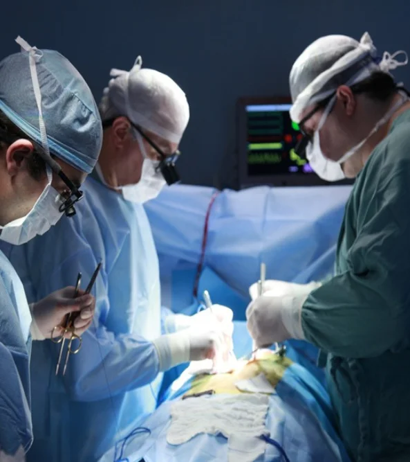 Responsabilidad clinica